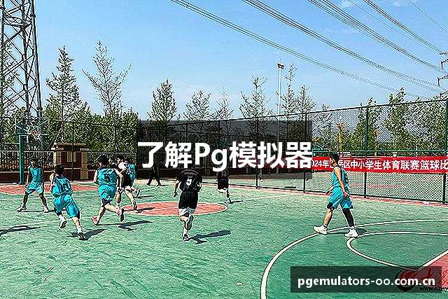 了解Pg模拟器